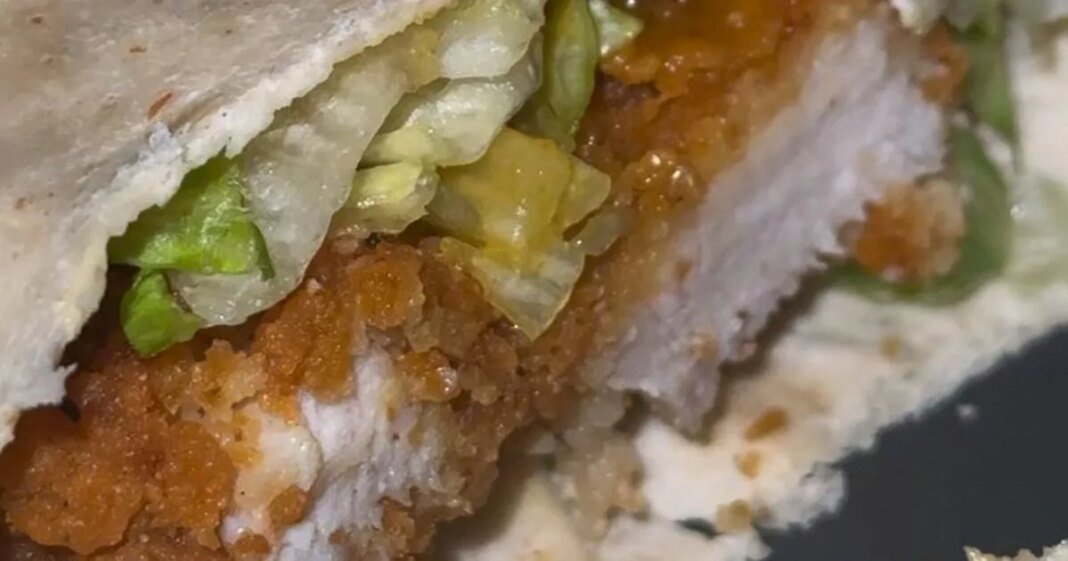 1_mcdonalds-the-chicken-katsu-one-wrap