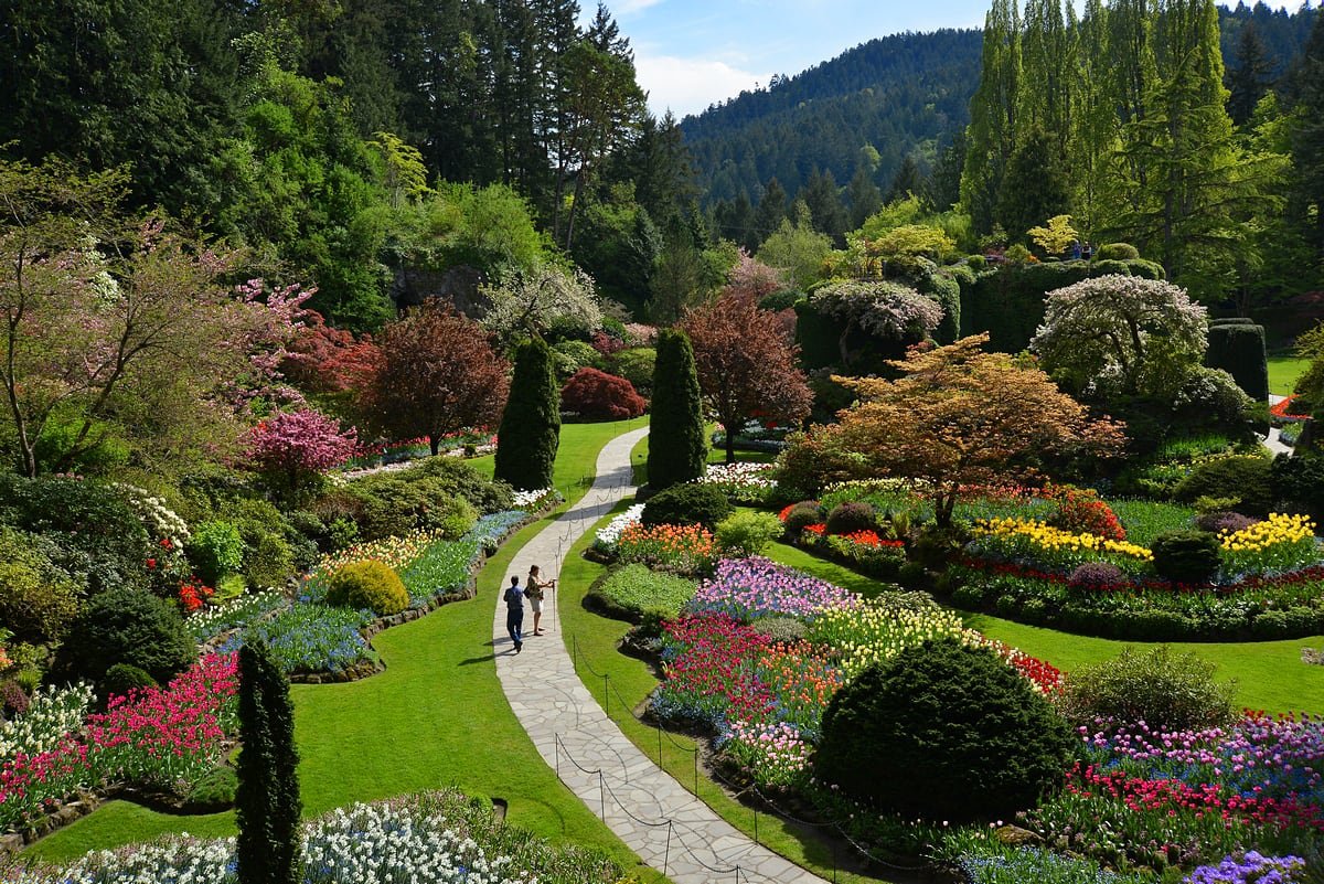 default-98 Aerial view of 2 people walking on a trail through colourful, manicured public gardens.